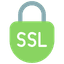 SSL/TLS icon